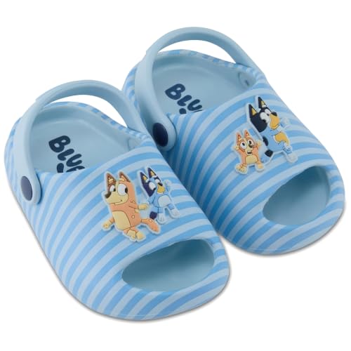 Bluey & Bingo Kids EVA Clog - Molded Open Toe EVA Clog for Boys & Girls Featuring, Bandit, Chilli & Bingo Shoes (Blue Stripe, 6) at Amazon
