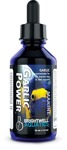 Brightwell Aquatics GarlicPower Garlic Extract for Aquarium Fish, 30 ml
