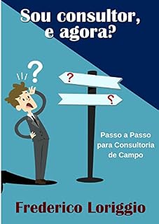 Livro Sou Consultor, e Agora?: Um livro dedicado aos consultores de grandes redes de franquias e redes próprias.