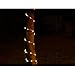 Solar Rope Lights,Findyouled Outdoor Waterproof 100LED 33ft Decoration Light,Automatically Working From Dusk to Dawn(Warm White)