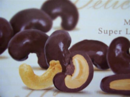 Milk Chocolate Covered Cashews, 1 Lb. Bag