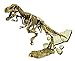 CLUB GENIUS FF253 4 Pack Dinosaurs Skeleton Excavation Kit Set, Fossil Block is White, Tools is Brown Color, 7.4