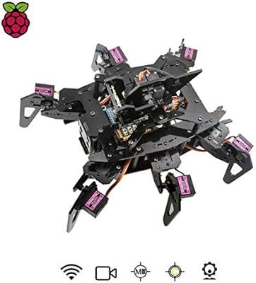 best raspberry pi robot