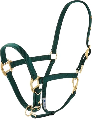Hamilton Deluxe Arabian Horse Halter, 3/4" Triple Ply Nylon, Adjustable Chin St…