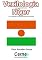 Livro Vexilologia para a bandeira do Níger Com display TFT programado no Arduino