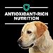 Purina Pro Plan Veterinary Diets EN Gastroenteric Naturals Canine Formula Dry Dog Food - 18 lb. Bag