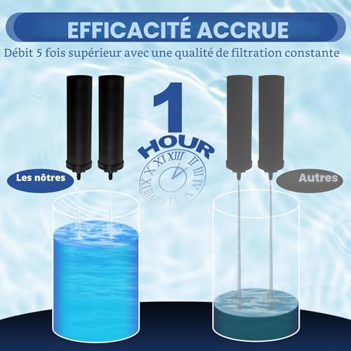 BB-9-2 Water Filter Compatible with Berkeyy Cleaning Elements, Black Element Cartridge, Premium Water Filter Compatible with Travel Series Big Royal Imperial Crown Light (4 Pieces)