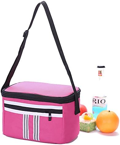 HMQINYI Small Reusable Lunch Box Insulated Lunch Bag for Women Soft Cooler Bag for Girls (6L Pink)