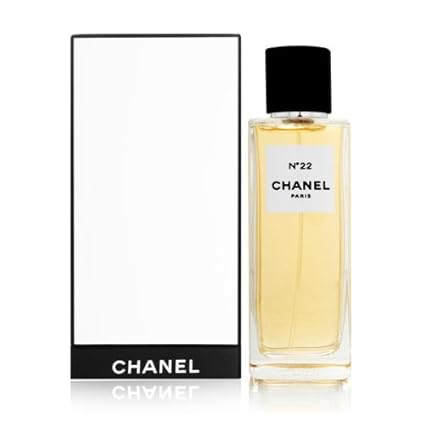 chanel 22 medium price