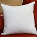 Set of 2, Square Decorative Throw Pillows Inserts Down and Feather Pillow Insert, Cotton Fabric, 26X26 Inches