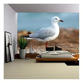 Portrait of a Seagull - Removable Wall Mural | Self-Adhesive Large Wallpaper - 66x96 inches