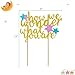 How We Wonder What You are Cake Topper for Kids Birthday Party Baby Shower Gender Reveal Gold Glitter Decorations