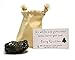 hBARSCI Santa's Christmas Coal with Science Experiment - Large Lump of Genuine American Coal in Premium Cotton Bag (Egg/Golf Ball Size, 2.5