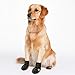 WUXIAN Waterproof Dog Shoes,Dog Outdoor Shoes, Running Shoes for Dogs,Pet Rain Boots, Labrador Husky Shoes for Medium to Large Dogs,Rugged Anti-Slip Sole and Skid-Proof-Size6