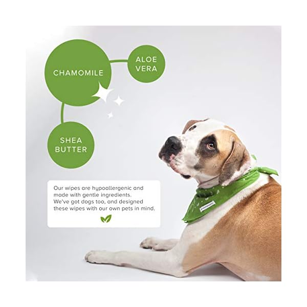 Earth-Rated-Dog-Wipes-100-Compostable-Pet-Grooming-Wipes-For-Dogs-Cats-USDA-Certified-99-Percent-Biobased-Hypoallergenic-20x20cm-Unscented-Cleaning-Wipes-For-Paw-Tushie-Bum Earth Rated Dog Wipes, Thick Plant Based Grooming Wipes For Easy Use on Paws, Body and Bum, Unscented, 100 Count