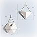 Wall Decor Planters 2 Set White Ceramic Hanging Geometric Wall Decor Container – Great for Succulent Plants, Air Plant, Faux Plants,Whitethumb 1