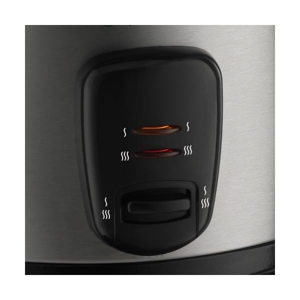 Russell Hobbs 19750 Rice Cooker and Steamer, 1.8L, Silver