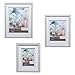Gallery Solutions 14x18 Light Grey Wood Wall Frame with Double White Mat For 11x14 Image