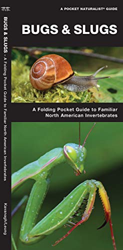 Bugs & Slugs: A Folding Pocket Guide to Familiar North American Invertebrates (Wildlife and Nature Identification)