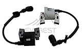 NEW 2 SET OF HONDA LEFT AND RIGHT IGNITION COILS FITS GX610 18HP V TWIN ENGINES