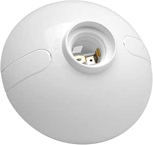 ROSETA DE PLASTICO Portalámpara para Foco: Amazon.com.mx: Herramientas