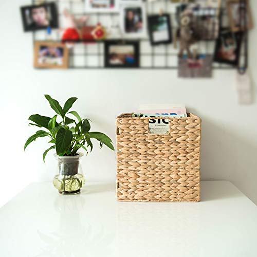 StorageWorks Wicker Baskets for Storage with Liners, Water Hyacinth