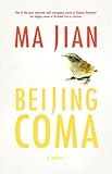 Beijing Coma 