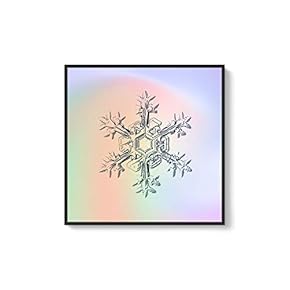 Framed Canvas Wall Art for Living Room, Bedroom Snowflake Theme Canvas Prints for Home Decoration Ready to Hang - 16x16 inches
