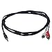 InstallerParts 6 Ft 3.5mm Stereo Plug to 2xRCA-Male Cable - Compatible with iPods, iPhones, Android Phones, MP3 Music Players, and Much More!