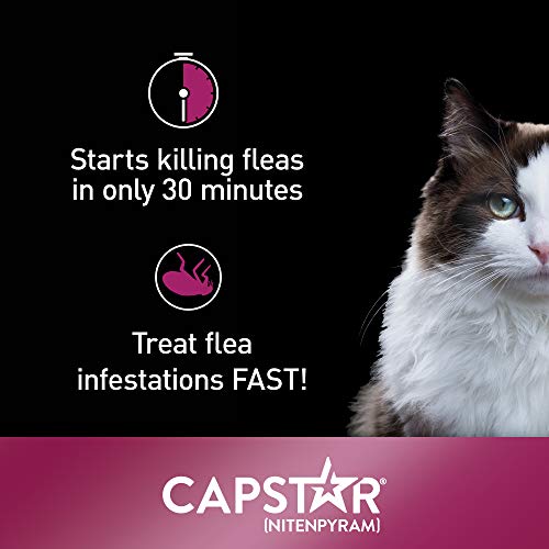 2 Capstar+Fast+Acting+Oral+Treatment+Doses