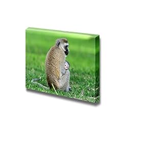 Vervet Monkey Sitting with Baby Wall Decor