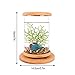 AZXAZ LED Desktop Aquarium Rotatable Mini Transparent Fish Tank Micro-Cylinder Aquarium with Wood Base Desktop Decor 14.5x18cmthumb 3