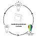 LumenBasic 60 Watt Color Changing Light Bulbs RGB with Warm White E27 with Remote Control and Wall Switch Control Dimmable RGBWW 10w Multicolor Bedroom Lights Color and Decoration
