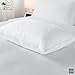 Sobel Westex Sahara Nights Queen Size Bed Pillow | Stomach & Back Sleeper Pillow for Adults | 233TC, 100% Cotton Case, Gel Fiber Fill | Soft, Machine Washable Hotel Quality Pillow for Sleeping | 20X30