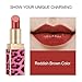 Professional Makeup Matte Lipstick, Velvet Long-lasting Moisturizing Beauty Cosmetics Lip Stick, 1.5OZ (Reddish Brown)