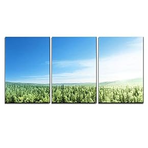 3 Piece Canvas Wall Art - Forest in Sunset Time - Modern Home Art Stretched and Framed Ready to Hang - 16"x24"x3 Panels