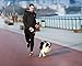 PETKIT Smart Dog Leash with Ultra Comfortable Grip, Led Light System, Lock & Release Mechanism, 4ft Replaceable Leash with Hook, Dog Walking Leash