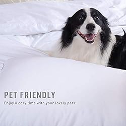 Sunflower 4 Piece California King Sheets Deep