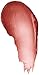 Burt's Bees 100% Natural Tinted Lip Balm, Hibiscus with Shea Butter & Botanical Waxes – 1 Tube