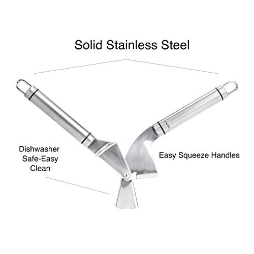 XChef Garlic Press, 304 Stainless Steel Garlic Mincer and Crusher