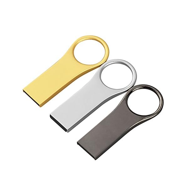 keathy 6 Pack 16 GB USB 2.0 Flash Drive Bulk Festplatten Memory Stick Daumen Antrieben Pen Zip-6 Farbe Schwarz Blau Rot Silber Grün Gold (3) 16GB*6 16GB*6