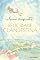 Livro Felicidade Clandestina