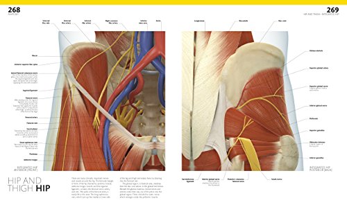 The Complete Human Body, 2nd Edition: The Definitive Visual Guide - Thumbnail 7