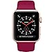 NUKELOLO Sport Band Compatible with Apple Watch 38MM 40MM,Soft Silicone Replacement Strap Compatible for Apple Watch Series 4/3/2/1 [S/M Size in Rose Red Color]