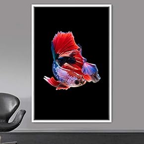 signwin Framed Canvas Wall Art Fish Bedroom Colorful...