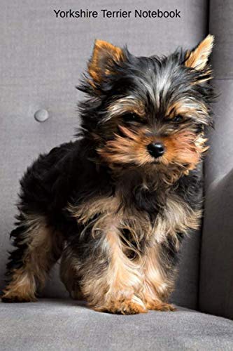 Yorkshire Terrier Notebook: Small lined Yorkshire Terrier notebook - Travel Journal to write in - 120 pages - 6"x9"