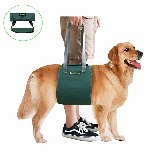 Lepark Dog Sling with Handle for Canine Aid, Veterinarian Approved Dog Lift Harness for Rehabilitation (L,Green) - Thumbnail 6
