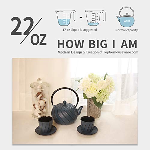 Tea Kettle, TOPTIER Japanese Cast Iron Teapot with Infuser, Stovetop