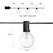 G40 Outdoor String Lights Hanging Globe Patio Lights with Clear Bulbs(2 Spare), UL Listed Connectable Backyard Lights for Indoor Outdoor Decor, 50 Hanging Sockets, E12 Base, 5W Bulb