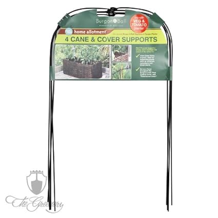 Burgon & Ball Tomaten Rankhilfe für Weiden Pflanzset